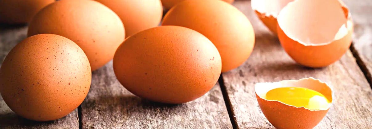 Βιολογικά κοτόπουλα, αυγά